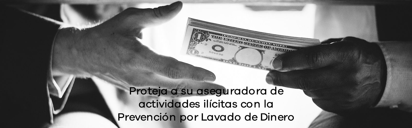 Lavado de dinero, PLD